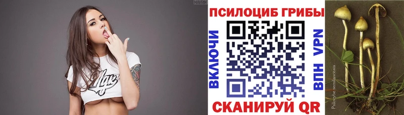 Галлюциногенные грибы MAGIC MUSHROOMS  Магадан 